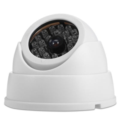 Caméra Fisheye factice