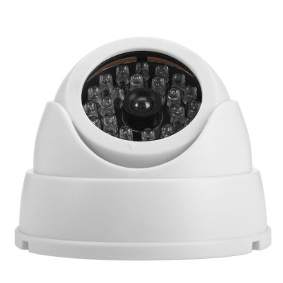 Caméra Fisheye factice
